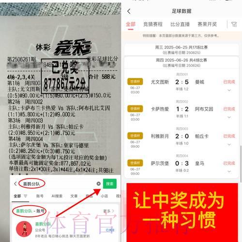 揭秘世界杯竞猜玄机：大数据背后的预测逻辑解析